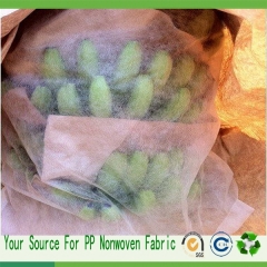 Hot sell Fruit protection bag