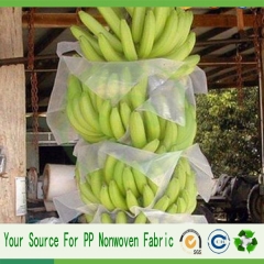 banana di fabbricazione Cina protegge la borsa