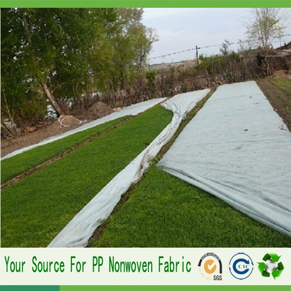 spunbond pp fabric non woven fabric Weed Membrane